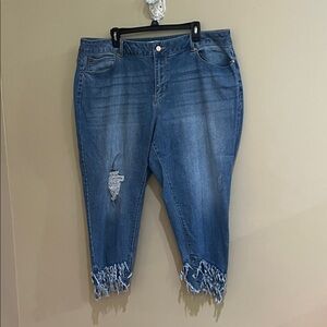 22WP  high-rise Blue Distressed Cropped fringe Jeans Cato
